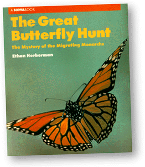 The Great Butterfly Hunt (22k)