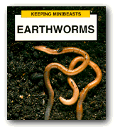 Earthworms cover (17k)