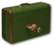 Suitcase (20k)