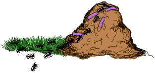 anthill (33k)