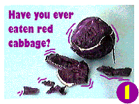 red cabbage (9k)