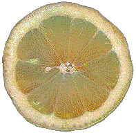 Lemon cross section (17k)