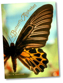 The Butterfly Alphabet (22k)