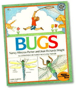 Bugs (22k)