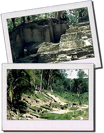 Altar de Sacrificios during excavation in 1961 (85k)