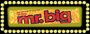 Mr. Big (9k)