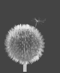 Dandelion seed floating away pt.2 (14k)