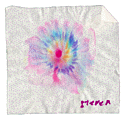 Chromatography design (13k)