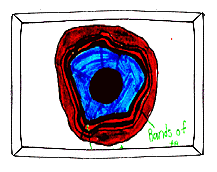 Agate cross section (9k)