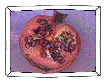 Pomegranate cross section (9k)
