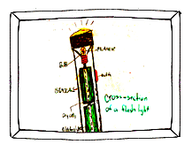 Flashlight cross section (9k)