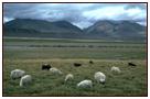 Tibet images (10k)