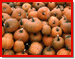 Small pumpkins (11k)
