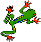 tree frog-icon (9k)